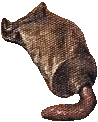 �lenov�