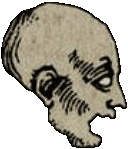 �lenov�