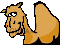 Zpt